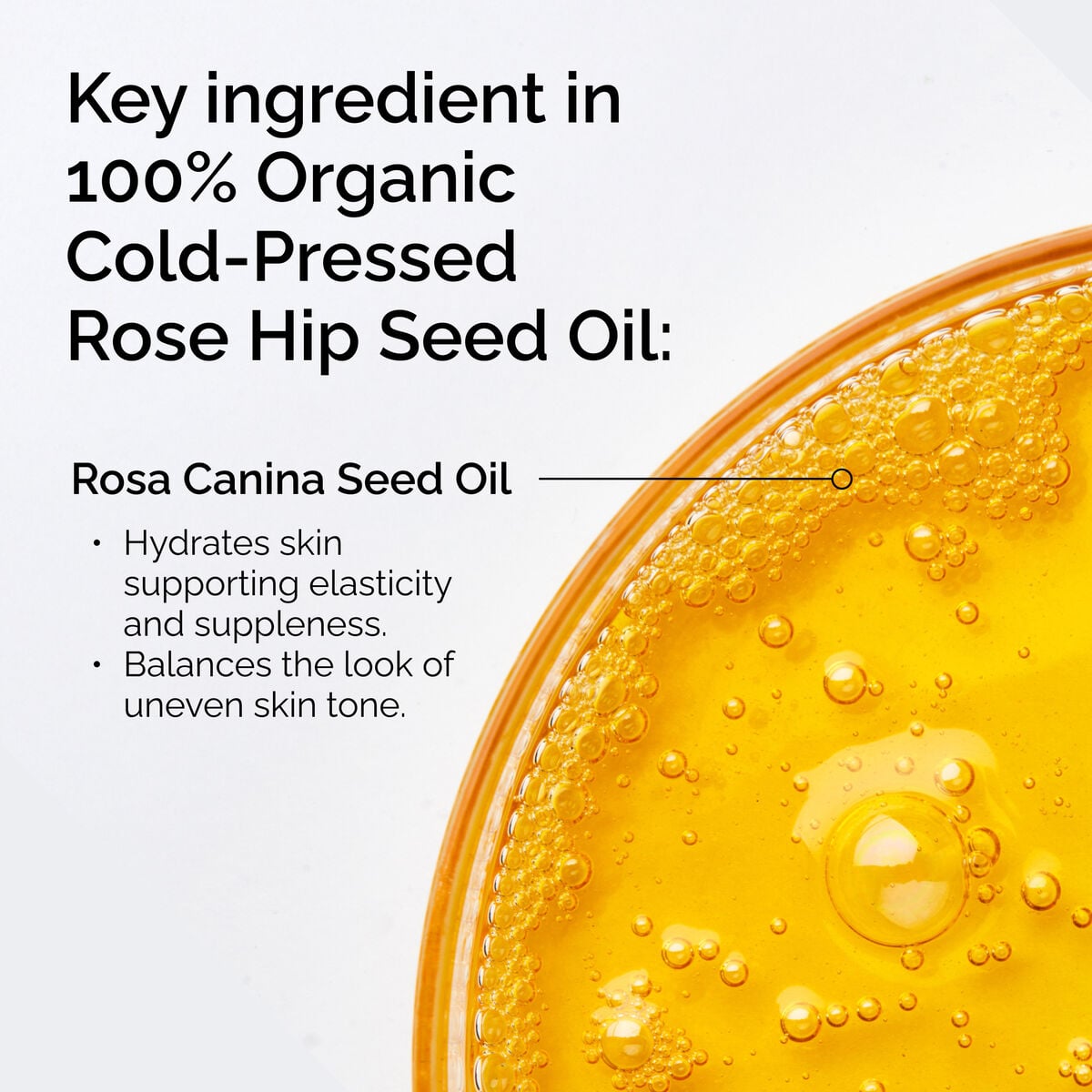 100-organic-cold-pressed-rose-hip-seed-oil-y6 FY25-D41247-ORD-Web-PDP-100-Rose-Hip-Oil-1x1-EN-2.jpg