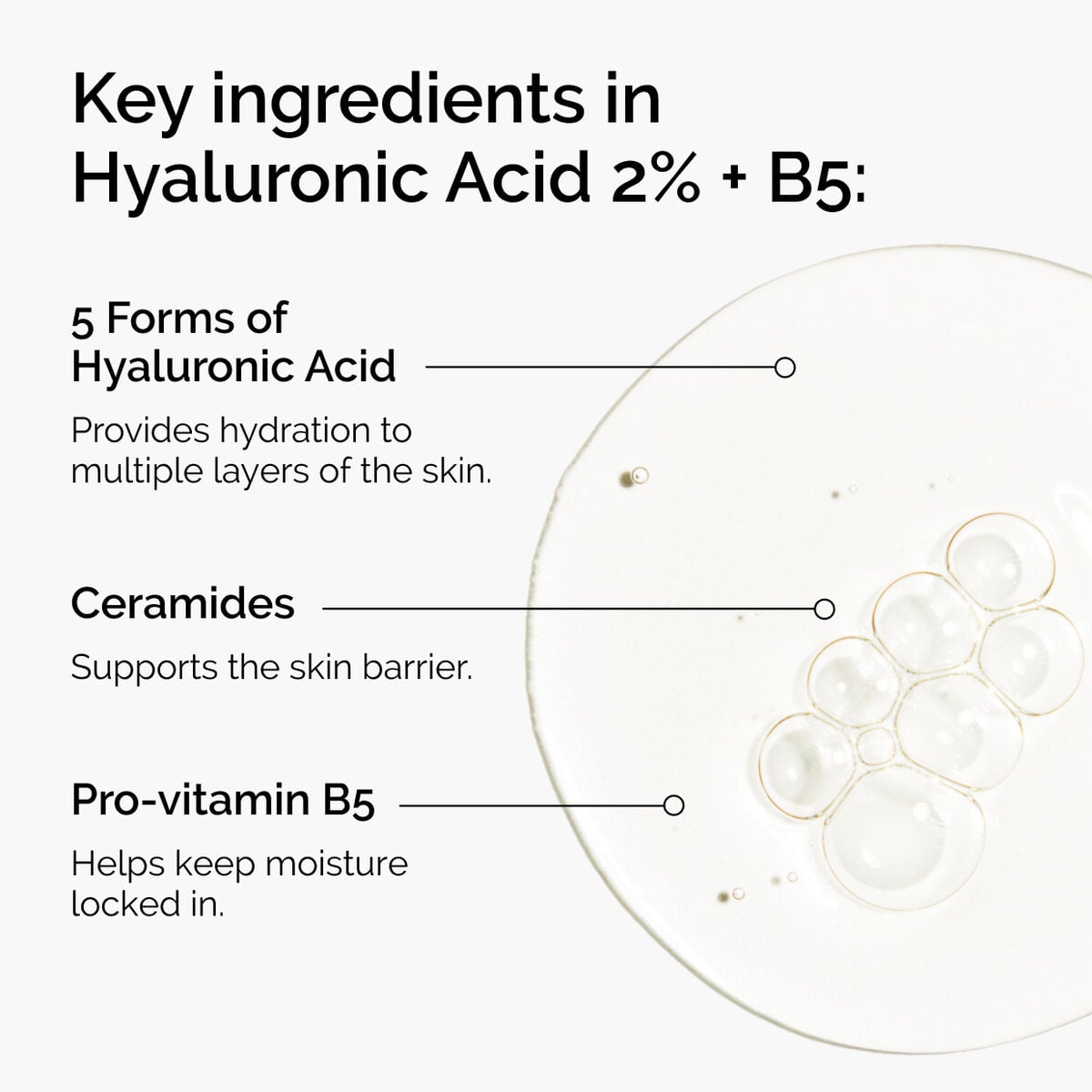 hyaluronic-acid-2-b5-with-ceramides-z3 ord-hyaluronic-acid-2pct-b5-hydrating-serum-ingredients-graphic.jpg